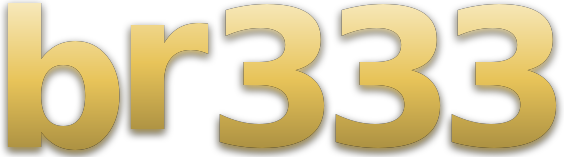 br333 logo